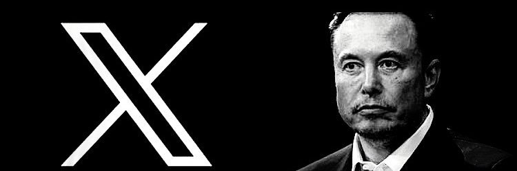 Alexandre Padrão 🇧🇷's banner