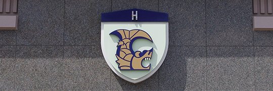 陸上自衛隊第１０師団's banner