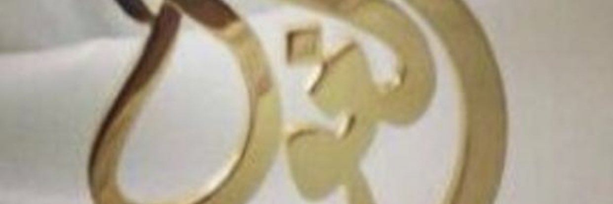 طارق خلفان الغول السلامي's banner