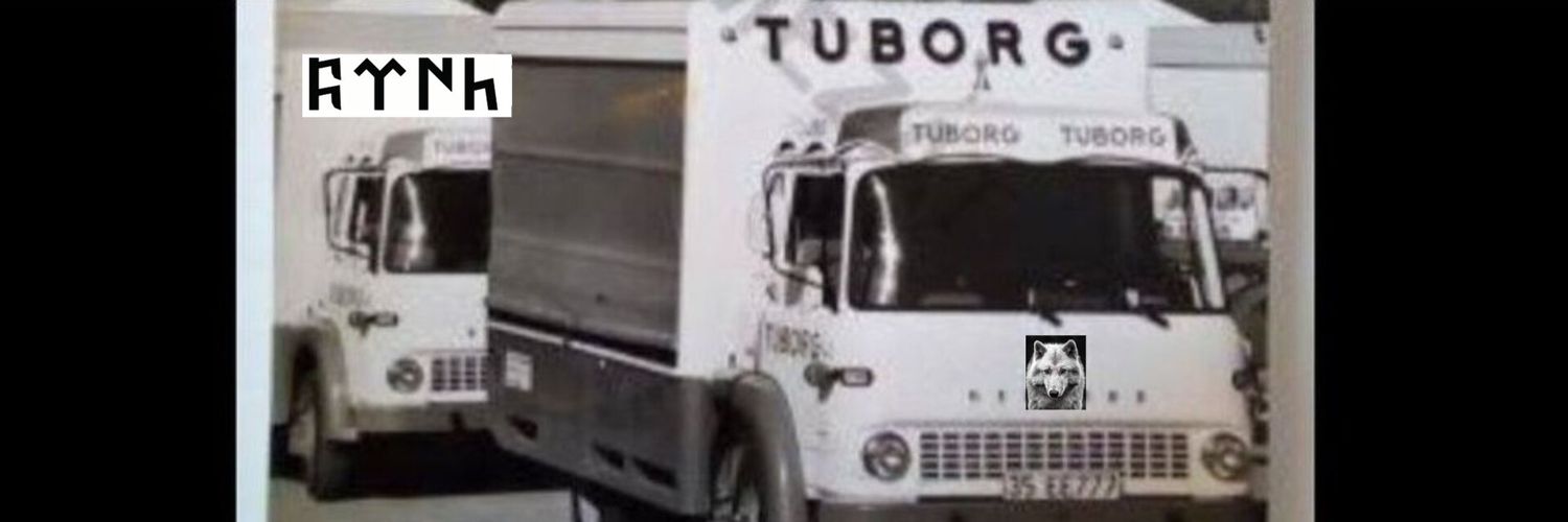 TüBöRK🍻's banner