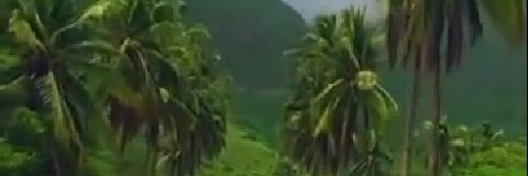 نايف الرواس's banner