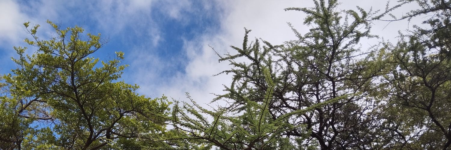 Mūnjìrū wa Mbarī ya Kaìgì's banner