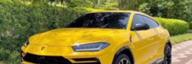 𝓚 ꃳ𝒾𝓃 ꏂ𝒾𝓈𝒶's banner