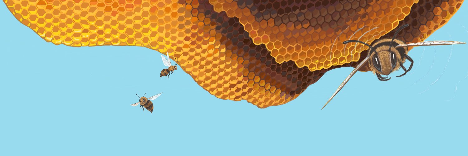 HummHive's banner