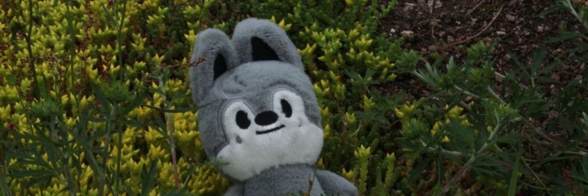 ᴋᴀᴇʟ's banner