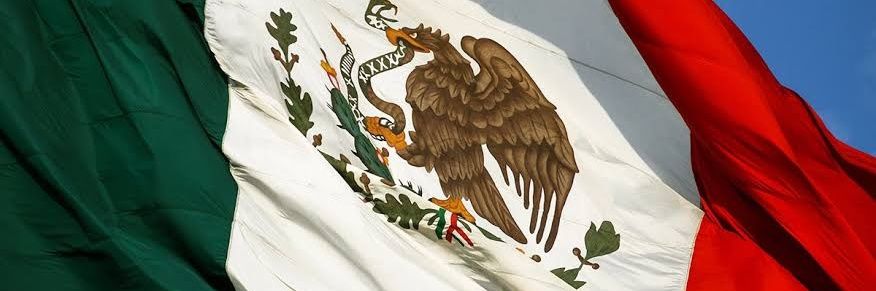 Emilio Vallejo Rangel-Larios's banner