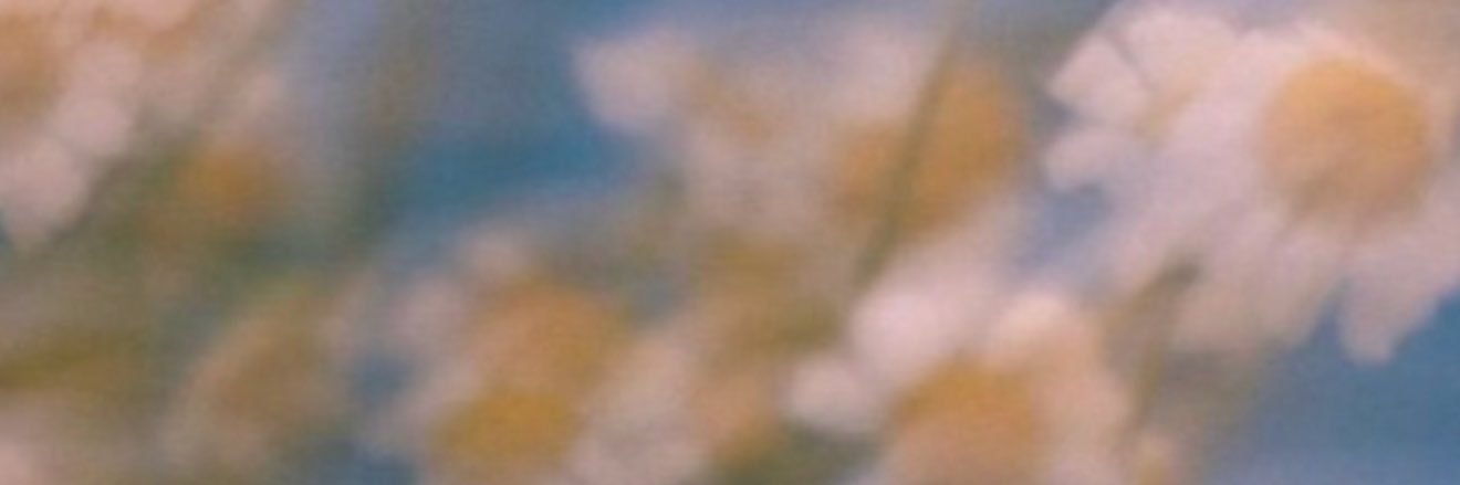 Hazal Subaşı's banner