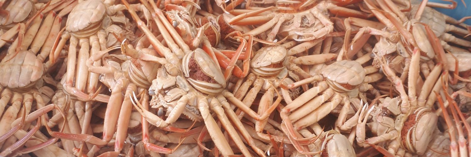 🦀越前かに職人 甲羅組【公式】🦀11月6日 越前がに 解禁✨'s banner