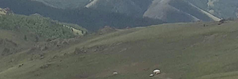 tuugii🕊️'s banner
