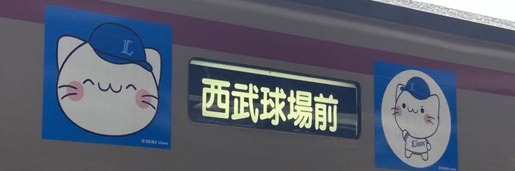 🦁獅子党埼玉県人⚾️'s banner
