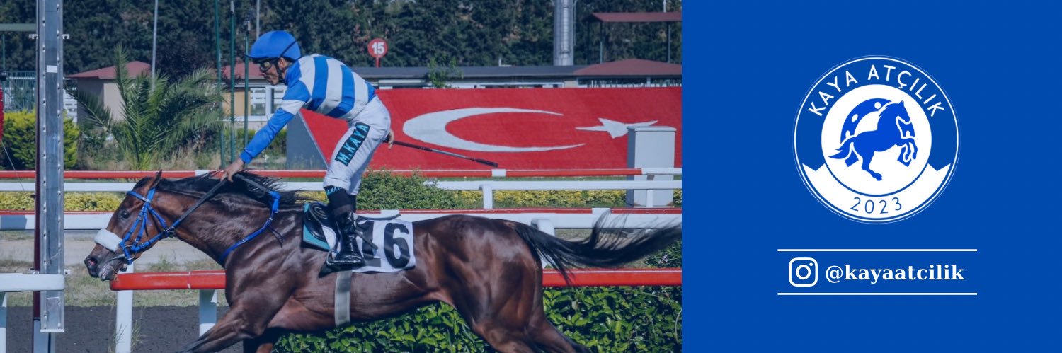 Kaya Atçılık's banner