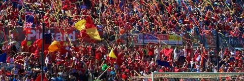 Hayley Routley's banner