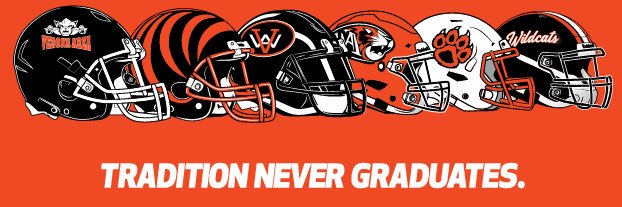 Verona Area Wildcat Football's banner