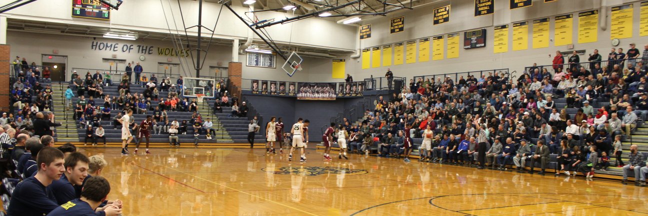 The D Zone Basketball's banner