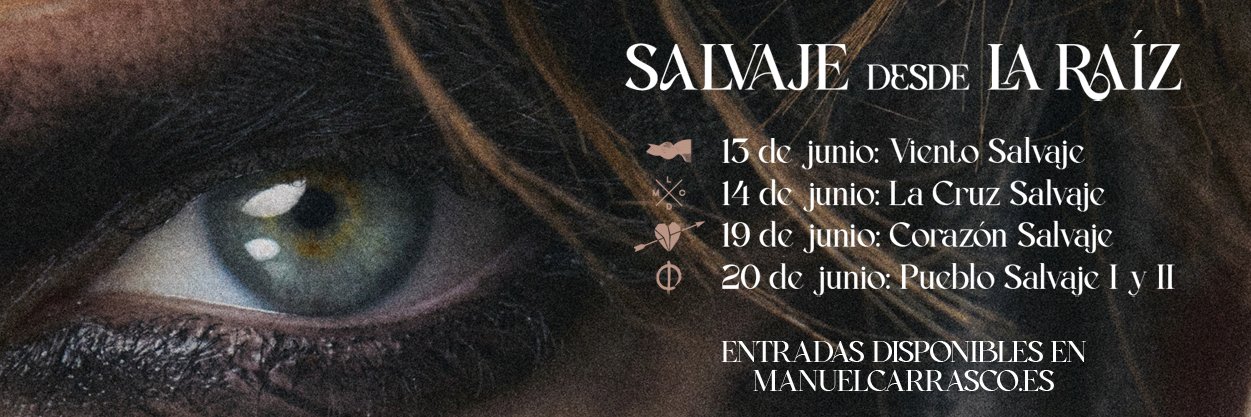 Tour Manuel Carrasco's banner