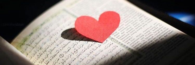 الشمعه المضيٸه✨💦's banner