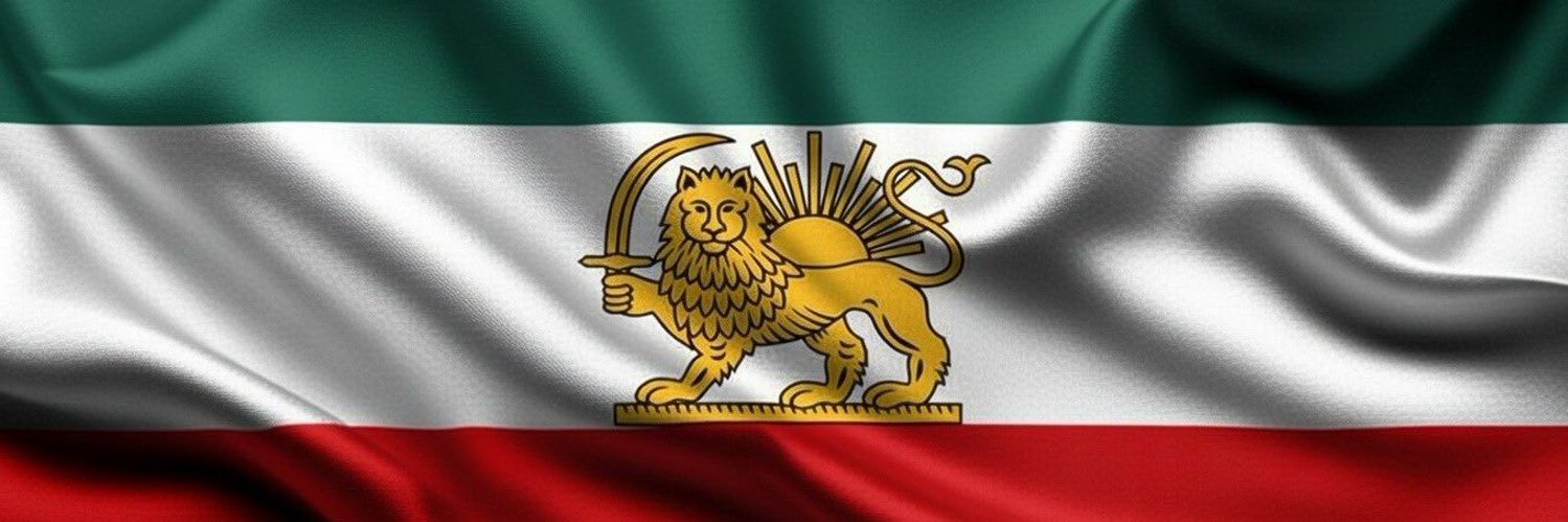 Haleh Rostami's banner