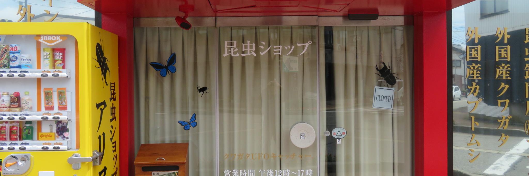昆虫卸問屋アリスト's banner