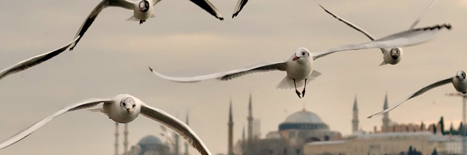 mosquesty's banner