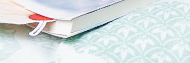 Kei Fujiwara's banner
