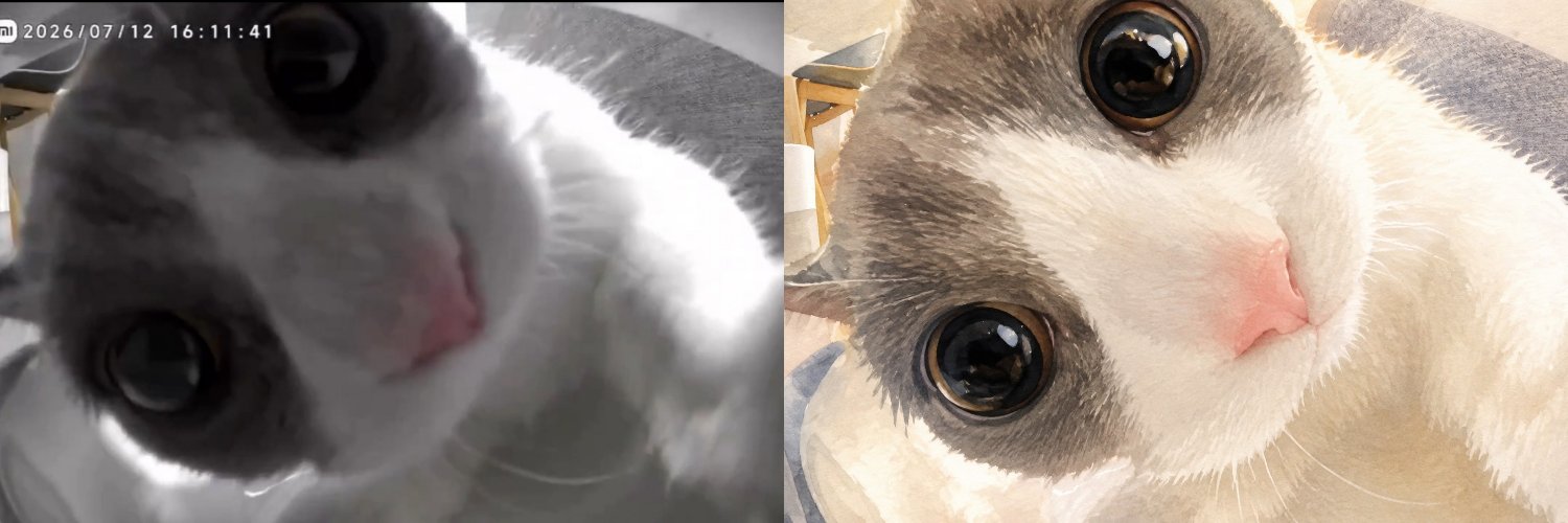 Animal Love Only Good Vibes 🐾's banner