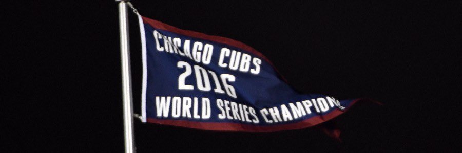 Daily Random Cub's banner