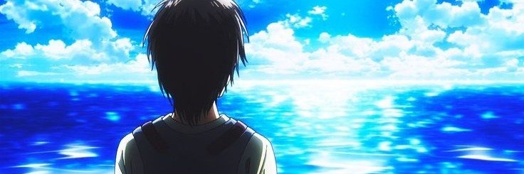 aimkey's banner