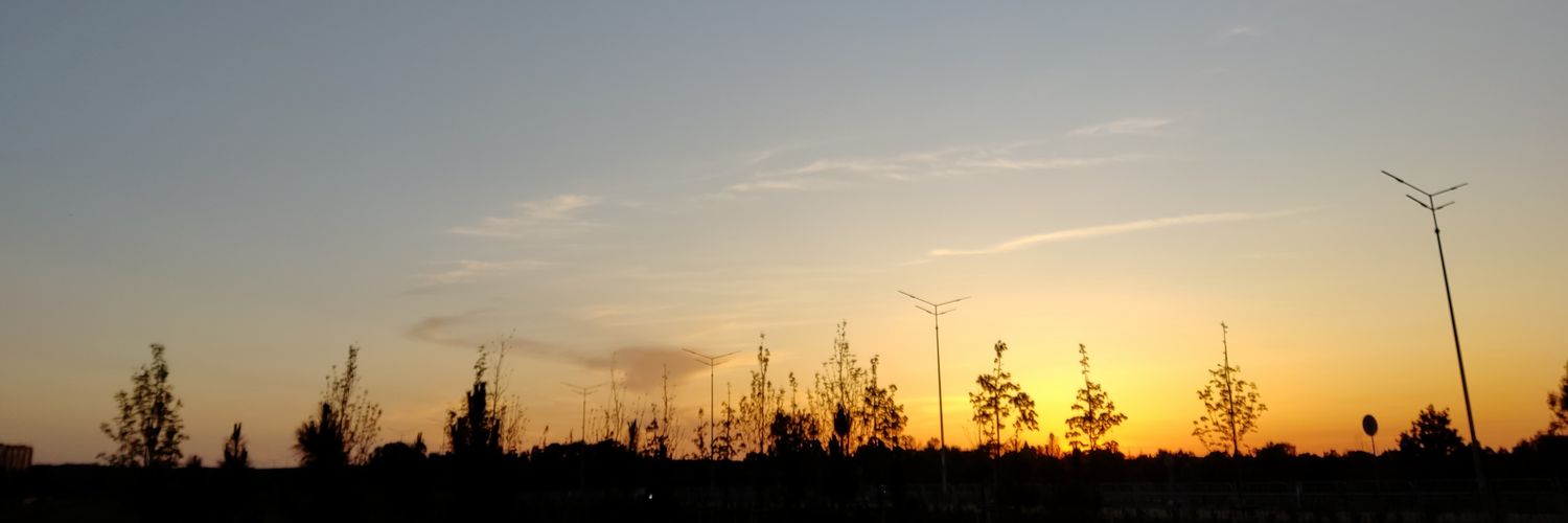 сам не свій's banner
