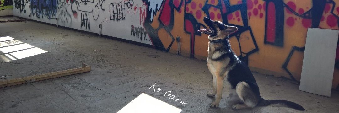 K9Garm's banner