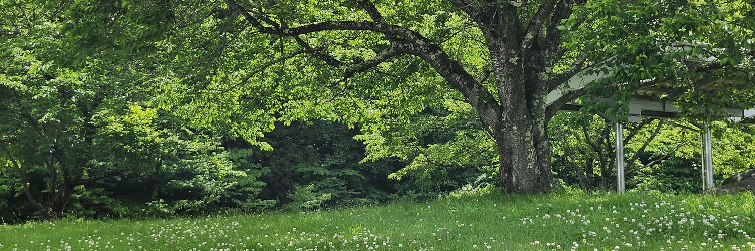たすかふぇ（ゆたか動物病院）'s banner