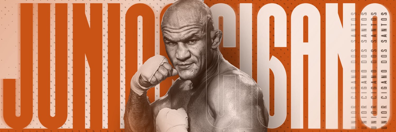 Junior Dos Santos's banner