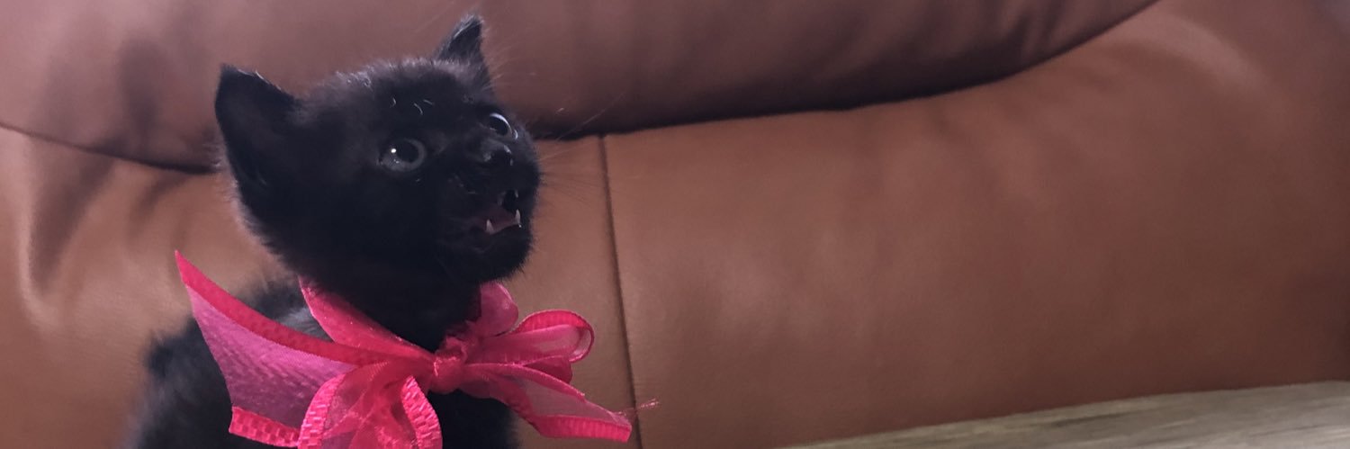 黒猫あさり's banner