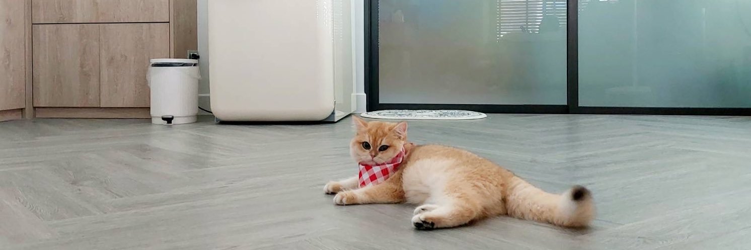 มินท์เอง ไม่ได้ฉีดปาก 🍒's banner