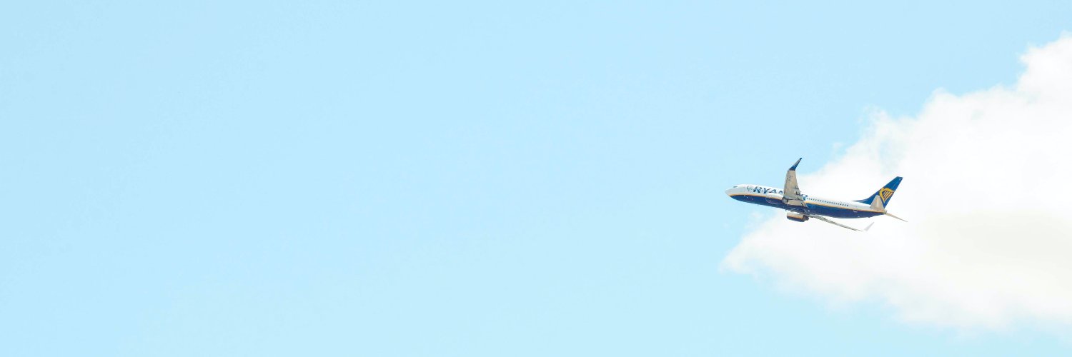 いわとぅーん｜航空券のプロ✈️'s banner