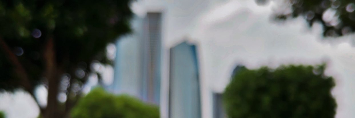 🇦🇪♔بنت زايد's banner