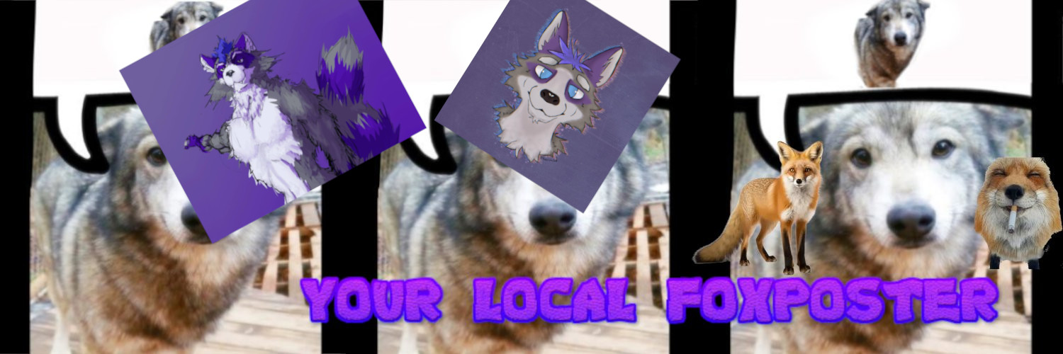 lolowski 🦝🦊's banner
