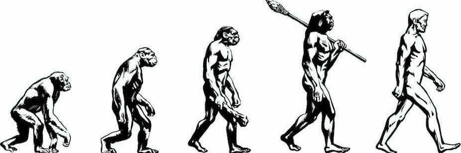 Evolution Of Life's banner