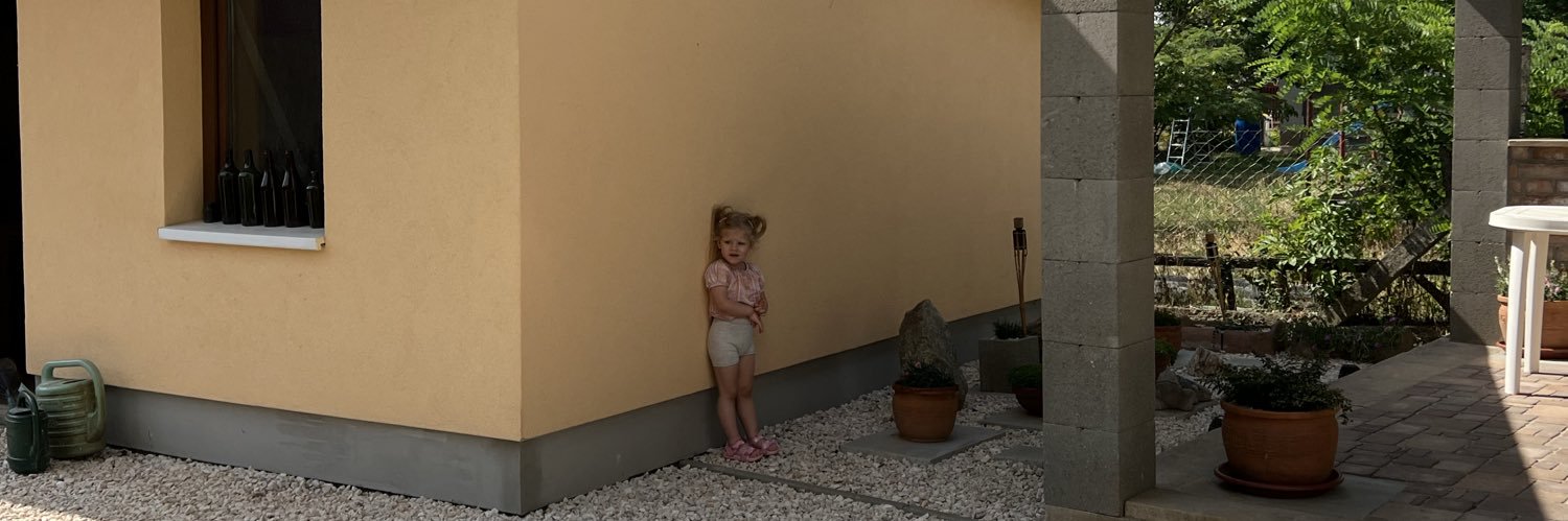 A Bolya's banner