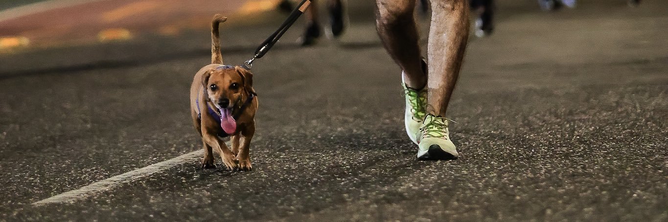 É Davi ou Dêivide?'s banner