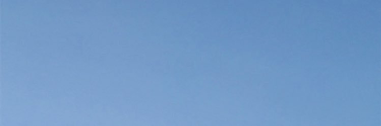 仲れいこ's banner