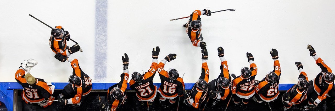 Medicine Hat Tigers's banner