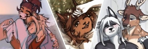 Spice Bxnny's banner
