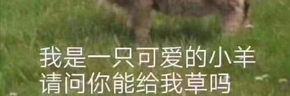 野原广志's banner