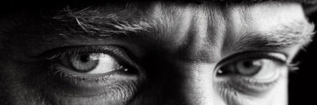 Ceren's banner