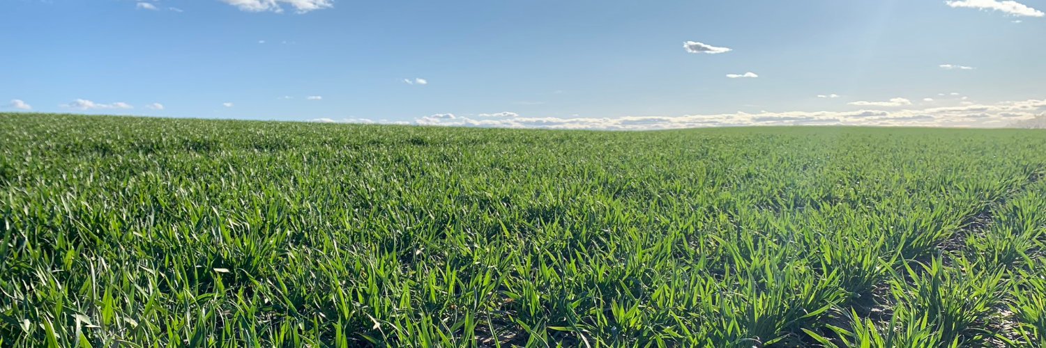 Agro Profil Magazyn Rolniczy's banner