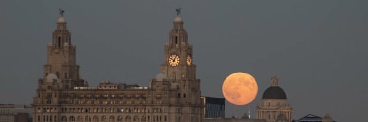 Becca's banner
