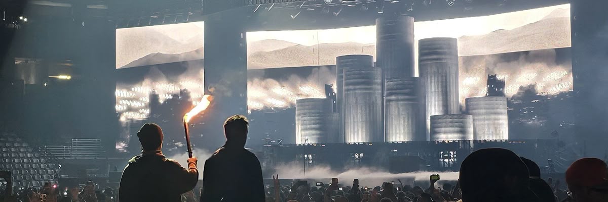 D 🇸🇪's banner