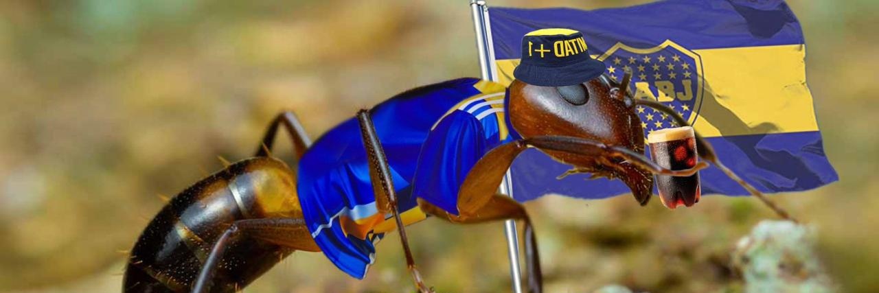 Hormiga Xeneize 🐜's banner