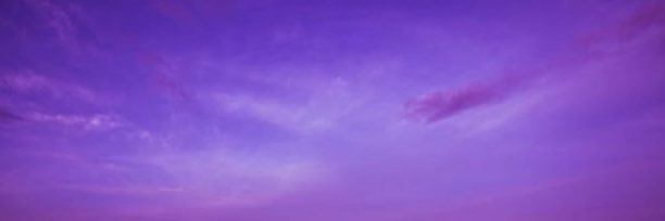 Ziny's banner