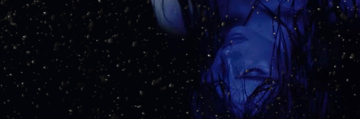ı̣ʇuɐp's banner